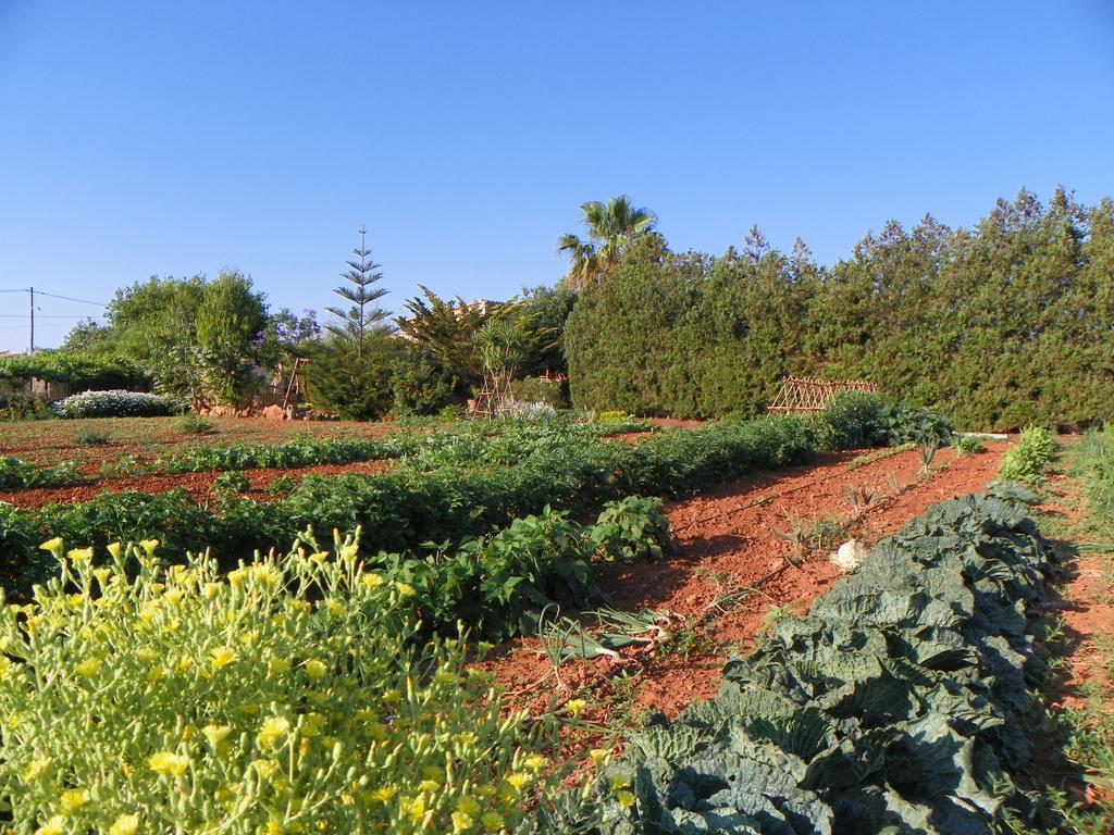 Agroturisme Can Bessol S'Horta Екстер'єр фото